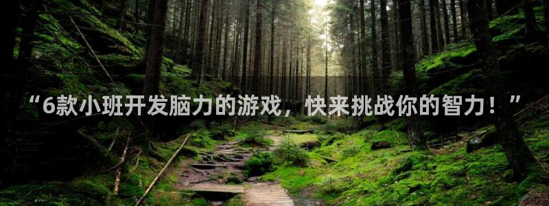 “6款小班开发脑力的游戏，快来挑战你的智