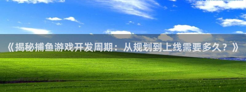 《揭秘捕鱼游戏开发周期：从规划到上线需要
