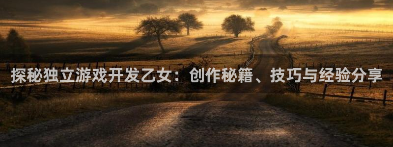 探秘独立游戏开发乙女：创作秘籍、技巧与经