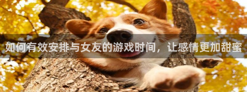沐鸣娱乐官方网站