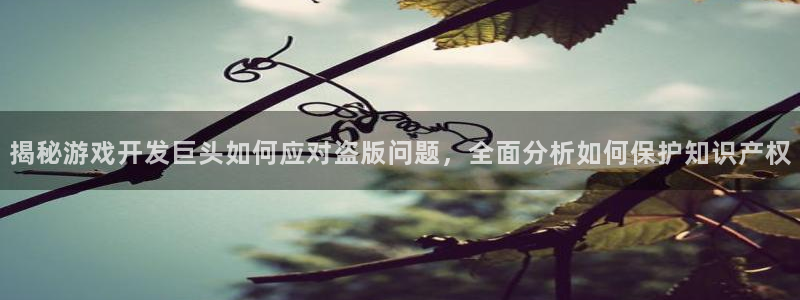 沐鸣科技有限公司官网：揭秘游戏开发巨头如