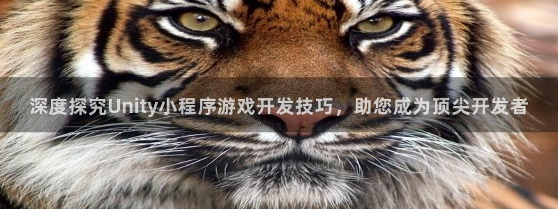 沐鸣科技怎么样知乎