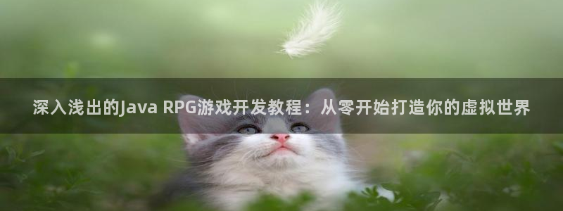 沐鸣注册网站官网：深入浅出的Java R