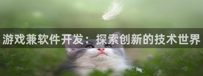 沐鸣娱乐平台登录入口下载安装：游戏兼软件