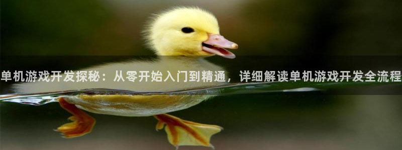 沐鸣1平台招商：单机游戏开发探秘：从零开