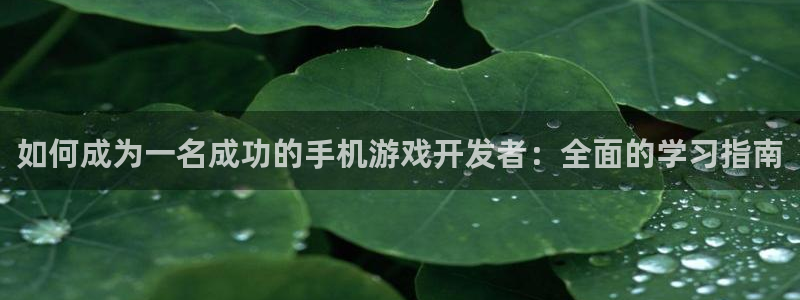 沐鸣平台~53866：如何成为一名成功的