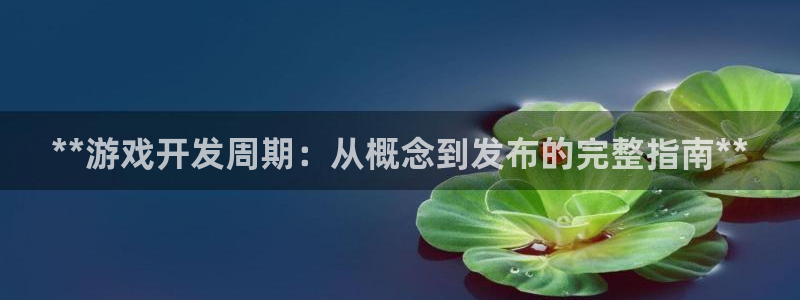 沐鸣娱乐游戏：**游戏开发周期：从概念到