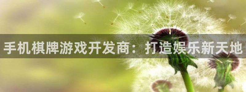 沐鸣怎么注册：手机棋牌游戏开发商：打造娱