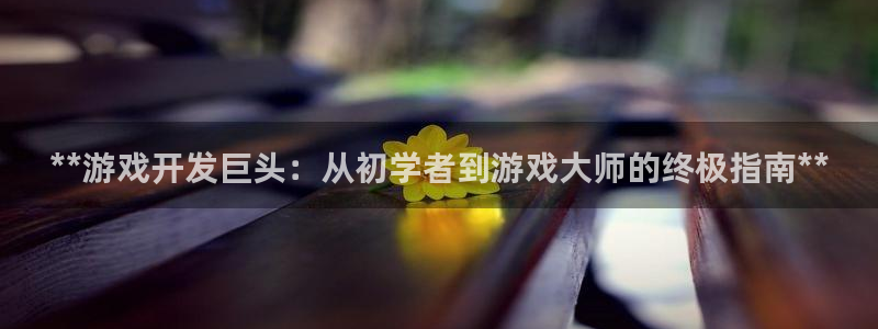 沐鸣开户测速：**游戏开发巨头：从初学者