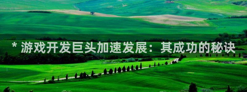 沐鸣平台总代理是谁：* 游戏开发巨头加速
