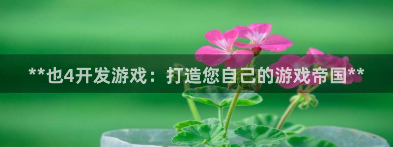 沐鸣4代理：**也4开发游戏：打造您自己