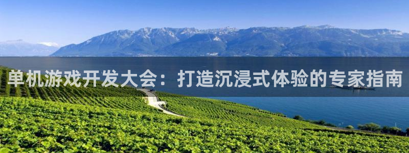 沐鸣平台app下载：单机游戏开发大会：打