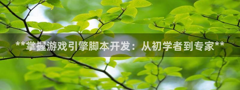 沐鸣娱乐游戏：**掌握游戏引擎脚本开发：