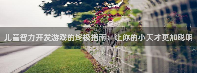 沐鸣平台是黑平台吗知乎：儿童智力开发游戏