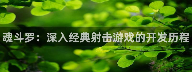 沐鸣平台注册资金多少亿：魂斗罗：深入经典