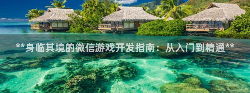 沐鸣科技：**身临其境的微信游戏开发指南