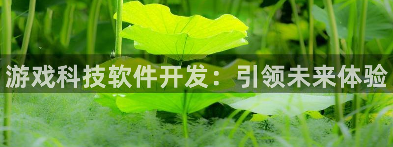 沐鸣娱乐注册登录平台入口：游戏科技软件开