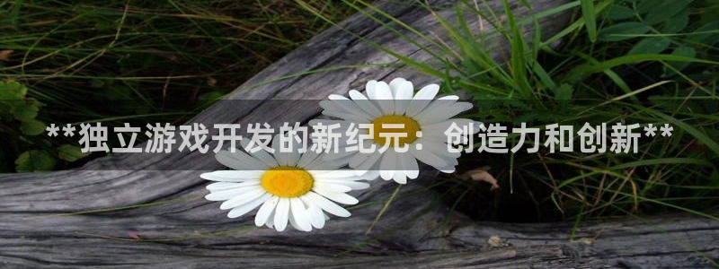沐鸣官方注册登录：**独立游戏开发的新纪