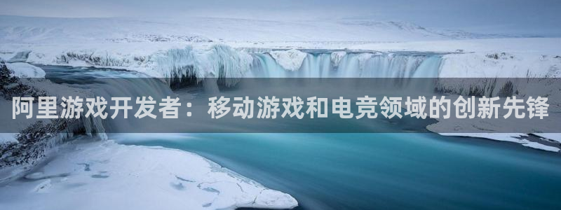 沐鸣科技业务：阿里游戏开发者：移动游戏和