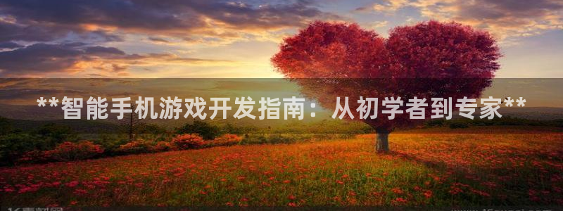 沐鸣娱乐股东：**智能手机游戏开发指南：
