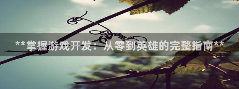 沐鸣娱乐二：**掌握游戏开发：从零到英雄