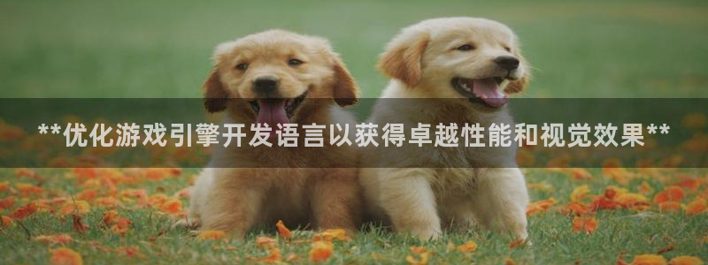 沐鸣注册入口：**优化游戏引擎开发语言以