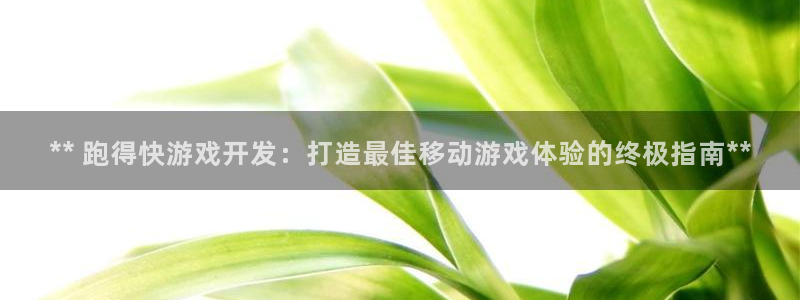 沐鸣娱乐官网登录：** 跑得快游戏开发：
