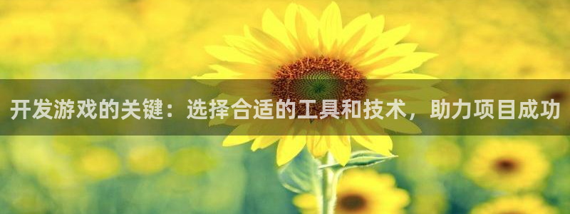 沐鸣娱乐官网入口：开发游戏的关键：选择合