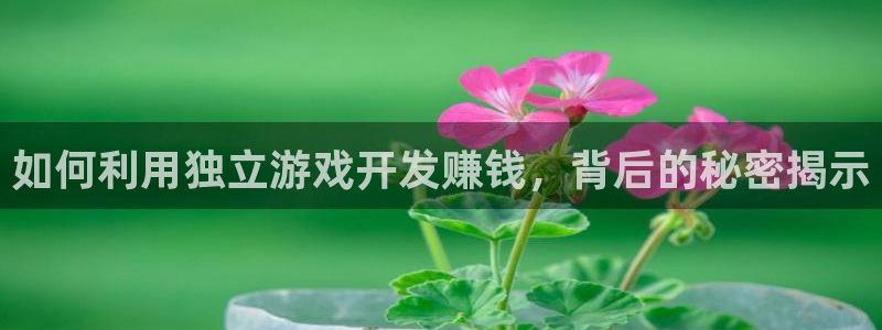 沐鸣娱乐官方平台怎么样：如何利用独立游戏