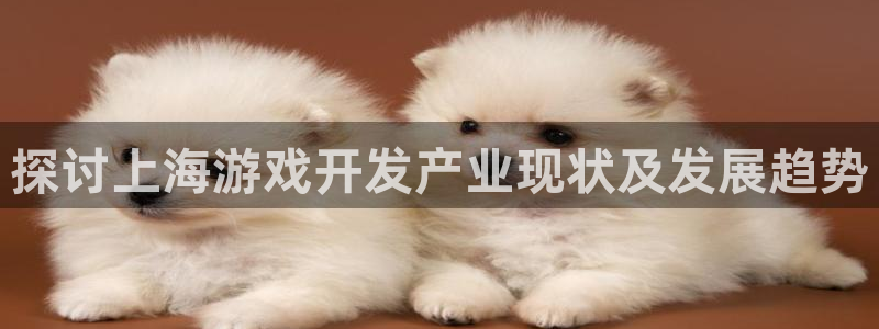 沐鸣1在线登陆：探讨上海游戏开发产业现状