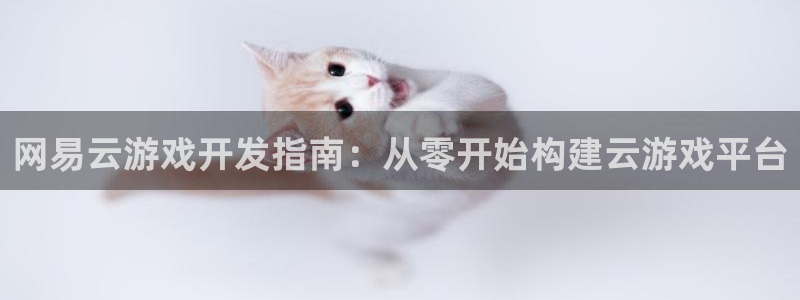 沐鸣1登陆：网易云游戏开发指南：从零开始