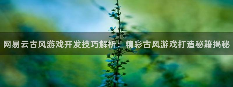 沐鸣登录网址：网易云古风游戏开发技巧解析