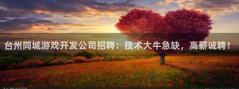沐鸣科技和沐瞳科技：台州同城游戏开发公司