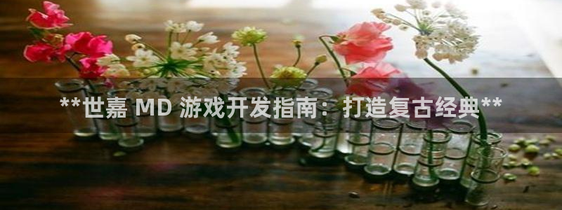沐鸣娱乐是真的吗：**世嘉 MD 游戏开