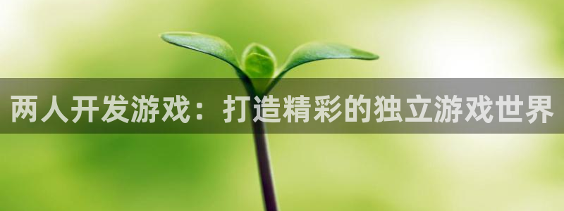 沐鸣娱乐官方平台怎么样：两人开发游戏：打