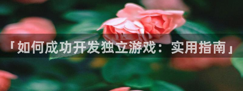 沐鸣网站：「如何成功开发独立游戏：实用指