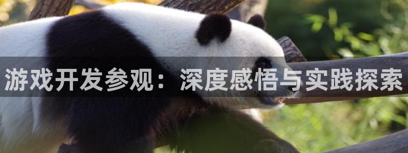 沐鸣注册开户：游戏开发参观：深度感悟与实