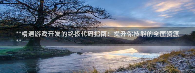 沐鸣咨询：**精通游戏开发的终极代码指南