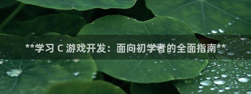 沐鸣娱乐代理是谁：**学习 C 游戏开发