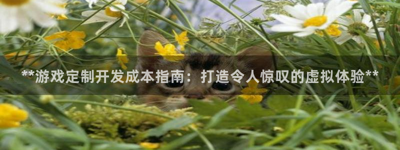 沐鸣注册问一问：**游戏定制开发成本指南
