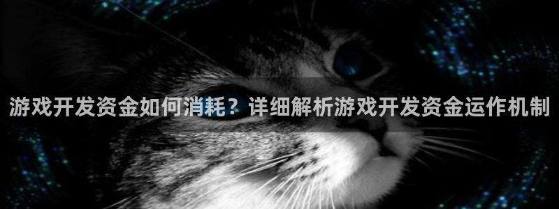 沐鸣平台注册资金多少：游戏开发资金如何消