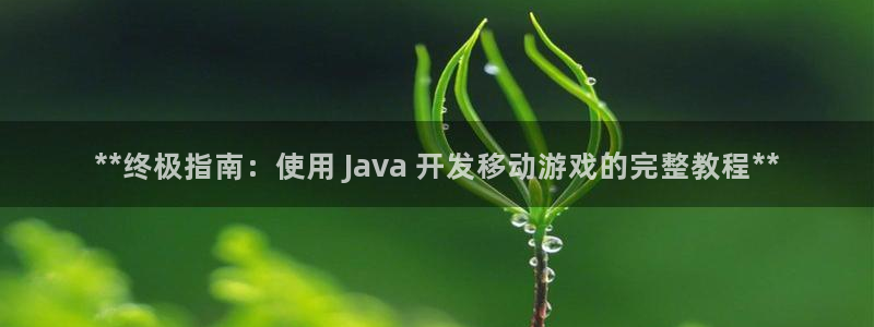 沐鸣娱乐平台登录网址：**终极指南：使用