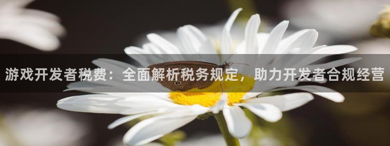 沐鸣1平台注册：游戏开发者税费：全面解析