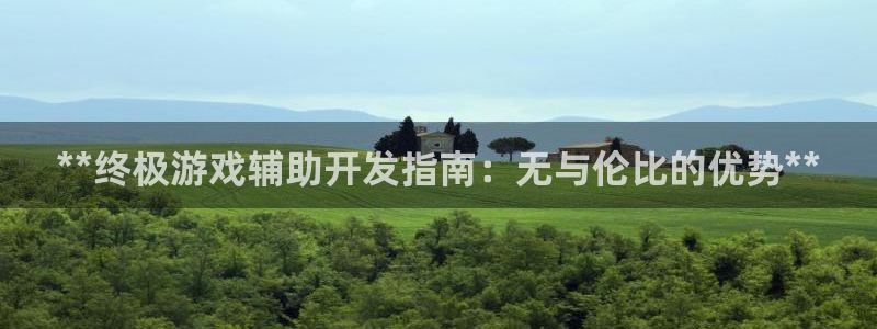 沐鸣科技游戏：**终极游戏辅助开发指南：
