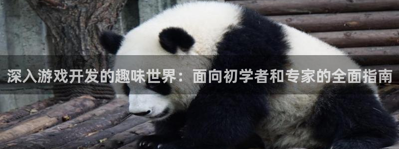 沐鸣平台官网：深入游戏开发的趣味世界：面
