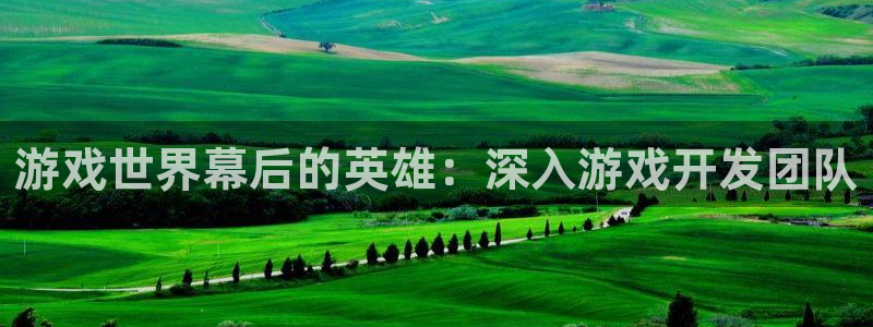 沐鸣平台登陆线路：游戏世界幕后的英雄：深