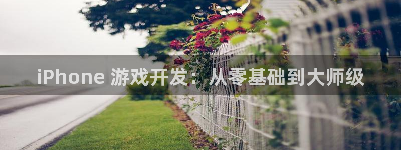沐鸣娱乐注册平台：iPhone 游戏开发