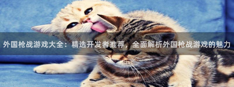 沐鸣总代~53866：外国枪战游戏大全：
