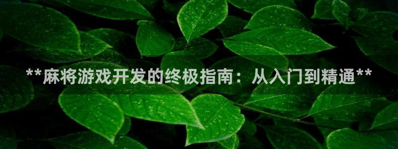 沐鸣娱乐ⅱ：**麻将游戏开发的终极指南：