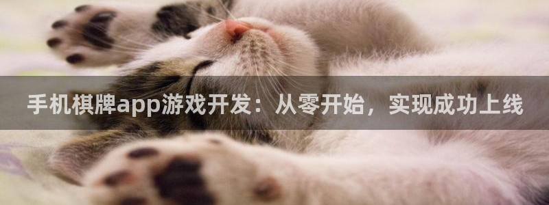 沐鸣3注册代理：手机棋牌app游戏开发：